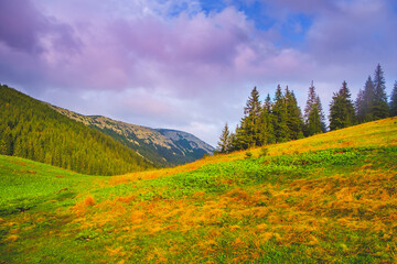 Wall Mural - impressively beautiful fairy-tale landscape. mountain valley panorama with pine tree forest, green a