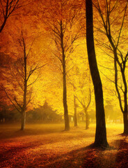 Wall Mural - evening silhouettes of trees in colorful autumn forest, dramatic contrast, vertical format. generati