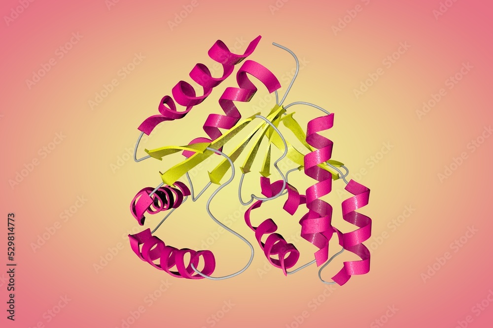 Cmp Inlustration Ilustración de Stock Solution structure of an essential CMP kinase of ...
