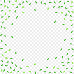 Wall Mural - Light Green Leaves Background Transparent Vector. Vegetation Aroma Texture. Decor Illustration. Green Flora Design. Foliage Growing.