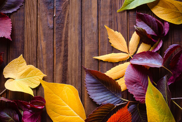 Wall Mural - Autumn frame for your idea and text. Autumn fallen dry leaves of yellow, red, green color, laid in the center of the frame on an old brown wooden board.	