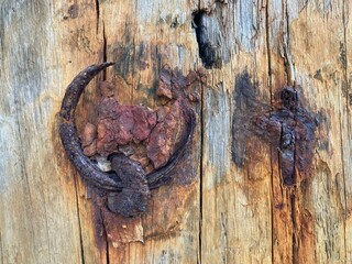 Wall Mural - A corroded ring has rusted into a wooden beam