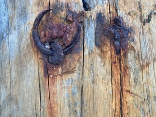 Wall Mural - A corroded ring has rusted into a wooden beam