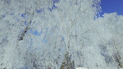 Aufkleber - Winter panorama with snowdrifts. 4k video background