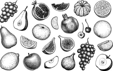 Canvas Print - fruits ink sketches.