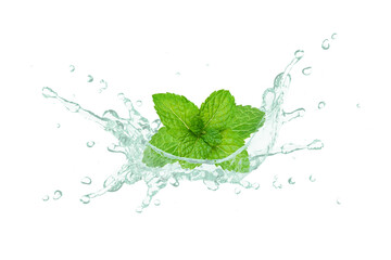 Sticker - Mint oil splash with fresh spearmint leaves isolated on white background.