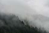 Fototapeta Na ścianę - Wolken im Hang im Thüringer Wald