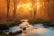 Leinwandbild Motiv Autumn forest and forest stream at sunset