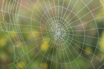 Macro of a spider net on a blurred natural view