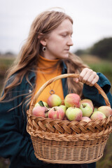 Wall Mural - girl holds  basket  with juicy apples in the garden