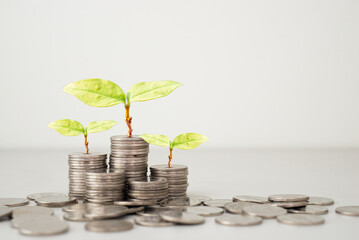 Poster - coins stack with plant green leaves growth on top coin on white background. financial, investment and money saving concept. ESG Environmental Social Governance. startup.