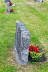 Wall Mural - Well-maintained ancient cemetery