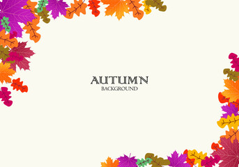 Wall Mural - autumn foliage vector. on isolated white background. abstract wallpaper design with maple leaves, li