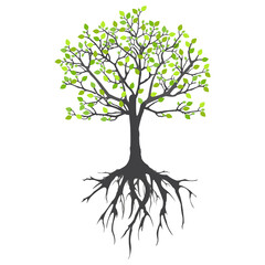Abstract tree with roots. Vector outline illustration. Plant in Garden.