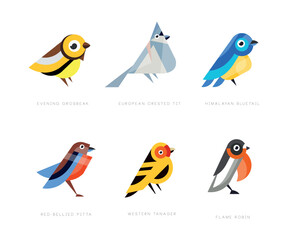 Wall Mural - colorful stylized birds collection with evening grosbeak, european crested tit, himalayan bluetail, 