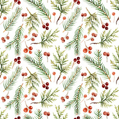 Watercolor pattern with evergreen branches of spruce and thuja. For eco green design or christmas decor