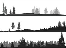 High Pines And Fir Trees Forest Three Dark Grey Landscapes