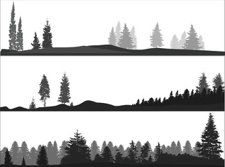 Wall Mural - high pines and fir trees forest three dark grey landscapes