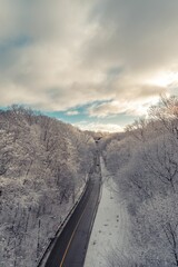 Sticker - Vertical sho of a highway in winter with trees covered in snow on the sides and cloudy sky above