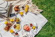 © brizmaker - picnic on blanket with food at summer sunny day