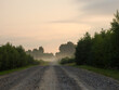 dirt road at dawn going into the distance morning into the fog
