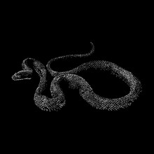 Eastern Rat Snake Hand Drawing Vector Illustration Isolated On Black Background