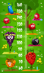 Wall Mural - Cartoon berry characters and personages. Kids height chart meter, children growth measure vector ruler with strawberry, raspberry and grape, black currant and honeyberry, cherry funny characters