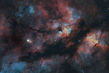 Wall Mural - the gamma cygni nebula. elements of this image were furnished by nasa.