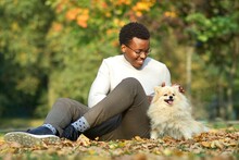 Happy Positive Black African Afro American Guy, Young Man Owner Sitting On Ground With Foliage, Grass With His Cute Pet Puppy, Small Pomeranian Spitz Dog In Golden Autumn, Fall Park 