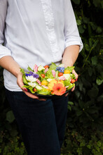 Midsection Of Woman Holding Bowl Of Vegan Salad With Vegetables And Edible Flowers
