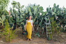 Smiling Farmer Standing In Front Of Prickly Pear Cactus A Farm