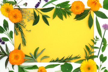 Wall Mural - Healing herb and edible flower selection for food seasoning and herbal plant medicine. Health food with white border frame on yellow background.