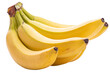 canvas print picture - PNG, bunch of ripe bananas