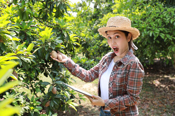 Asian agronomist or woman farmer reading report and inspecting growing crops data from tablet for increasing productivity in agriculture field, modern smart farming with technology concept