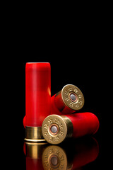 Canvas Print - Shotgun shells on a black reflective surface. Ammunition for 12 gauge smoothbore weapons. Hunting ammunition. Dark back.