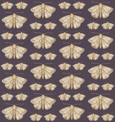 Naklejka na meble PURPLE SEAMLESS PATTERN WITH WATERCOLOR MOTHS
