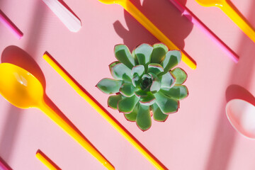 Poster - Cactus plant echeveria in the middle of plastic garbage in the form of disposable spoons on a pink background.