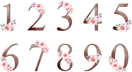 watercolor illustration set of vintage number with flowers
