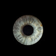 © Branko - human eye