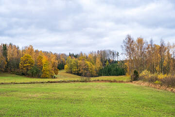 Wall Mural - Autumn colors on the trees in a rural landscape