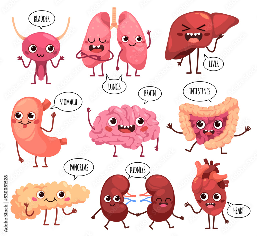 Cartoon cute organs characters. Happy healthy human organs, funny ...