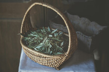 Wicker Basket Full Of Olive Leaves