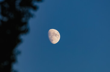 Wall Mural - After sunset, the moon slowly illuminates the blue sky.