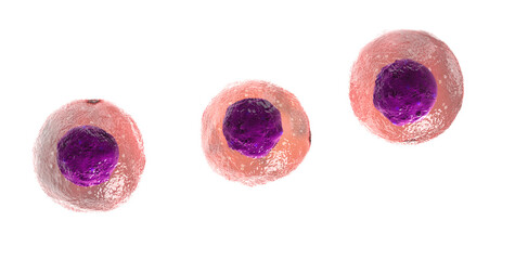 Wall Mural - cellular therapy , regeneration , disease treatment, transparent background