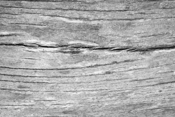 Wall Mural - Vintage black and white wooden wall texture background