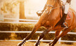 A beautiful bay fast horse with a rider in the saddle gallops, raising dust, illuminated by the light of the setting sun. Equestrian sports. Horse riding. Photos of horses.