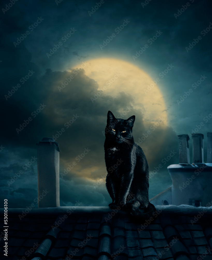 Black cat on roof and full moon. Scary halloween design layout for halloween  night party poster invitation. Fantasy cat silhouette under moonlight.  Stock Photo | Adobe Stock, image size:819x1000