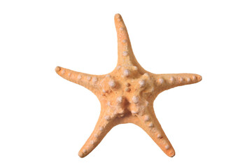 Starfish