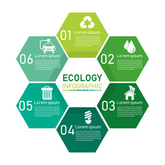 Wall Mural - ecology hexagon infographics green with six element. sustainable and environmental friendly concept. vector illustration in flat style modern design. isolated on white background.