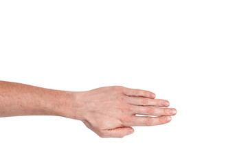 realistic human hand showing gesture. white skin man arm isolated on transparent background. straigh